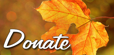 Donate.jpg