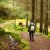 Forest Bathing - Boost  Anticancer Immunity